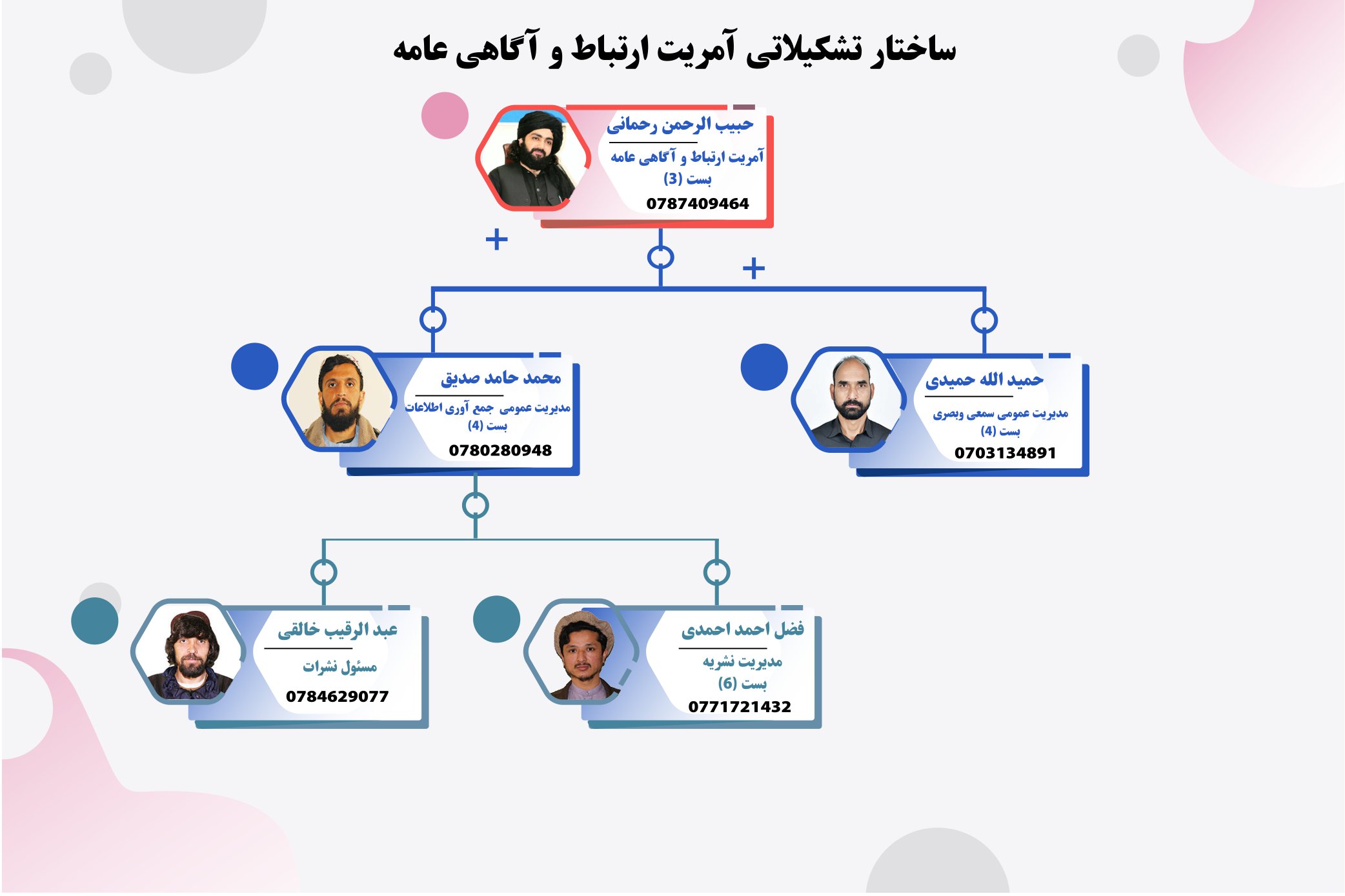 چارت تشکییلات 