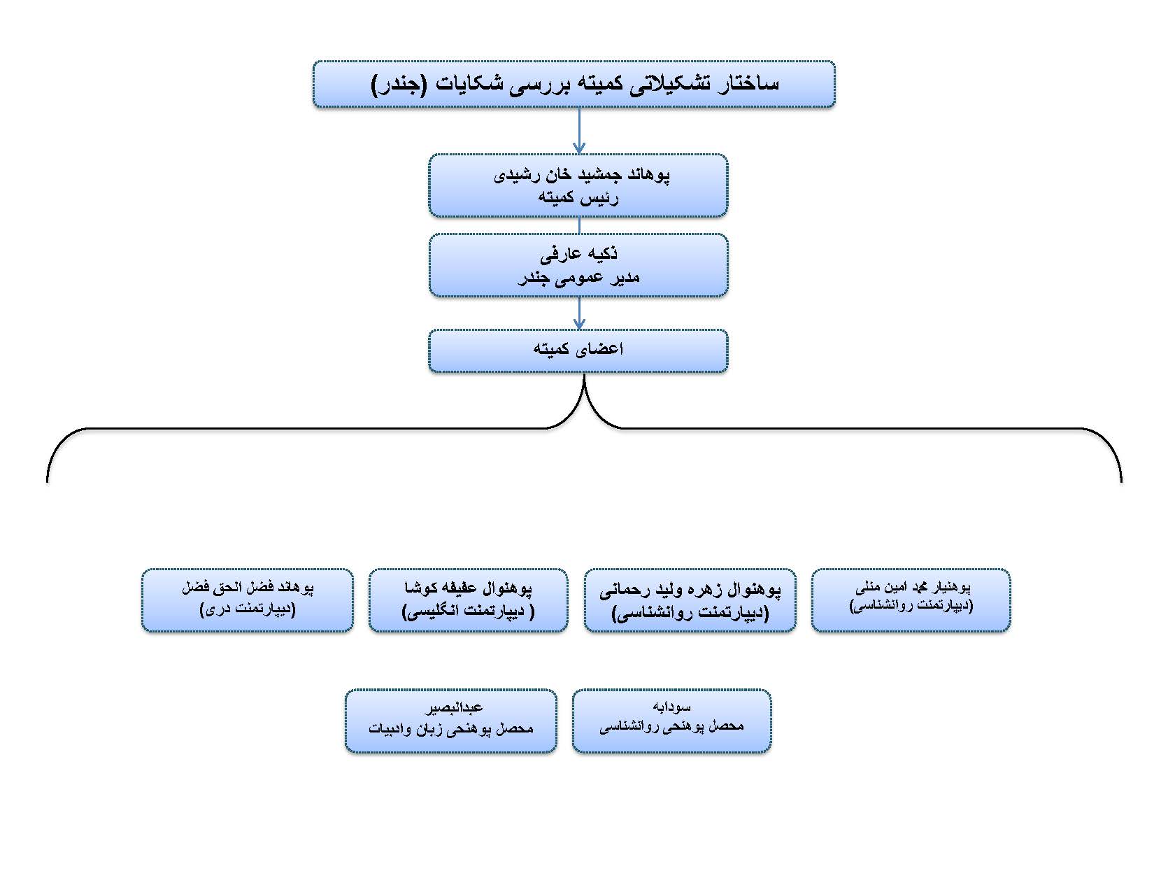 ساختار تشکیلاتی کمیته بررسی شکایات