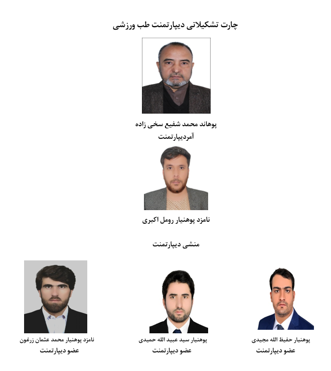 چارت تشکییلات 