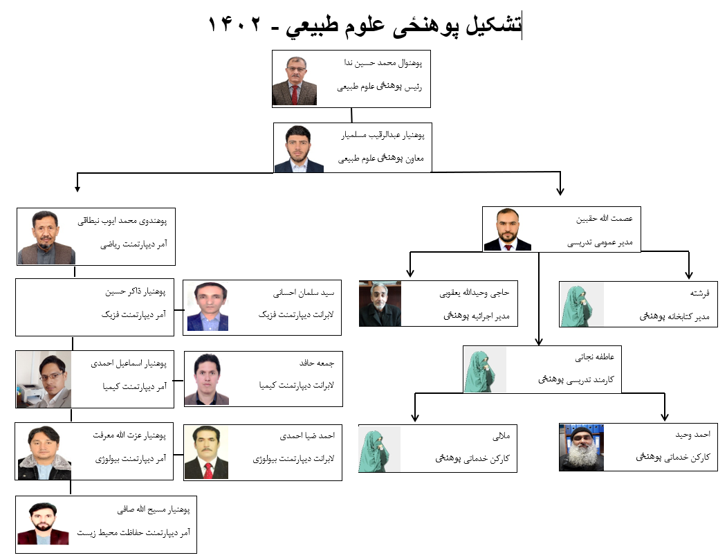 چارت تشکییلات 